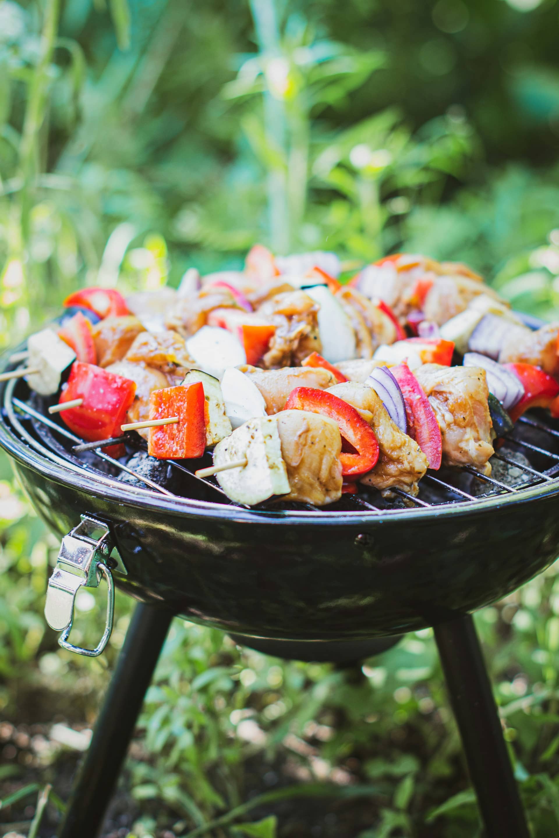 Vegetable Kebab Platter